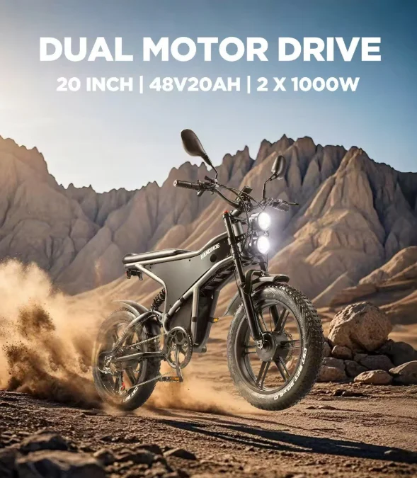 

RANDRIDE DM711 Electric Motorcycle 2000W Dual Motor 48V 20AH 20*4inch tire E-bike Hydraulic brake Mountain Snow Electric bicycle