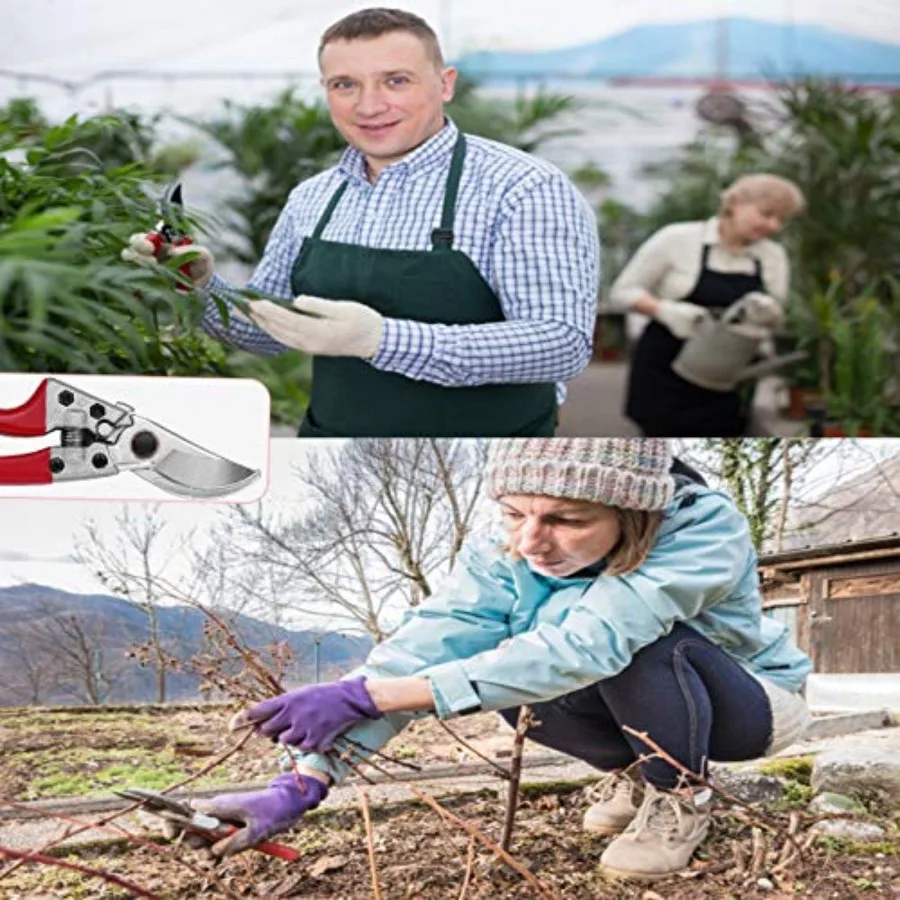 Tijeras de podar profesionales de 8 ", podadoras manuales para jardín, tijeras de jardinería, cortadoras para plantas, cortador de flores, floristería Scis