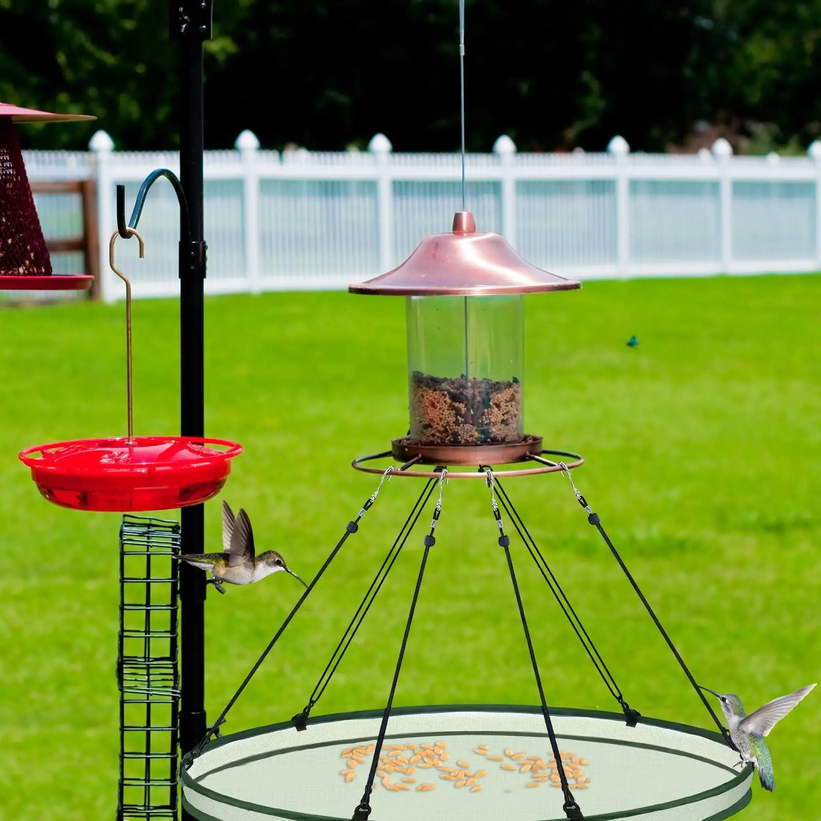 Thumbnail 3 - #26 Trending Bird Feeders Right Now