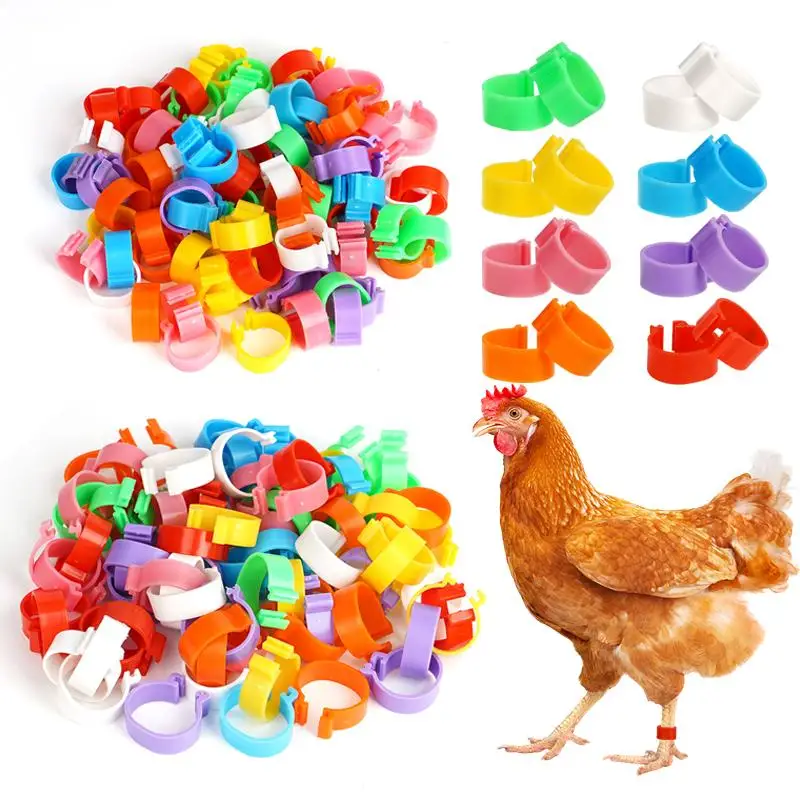60Pcs 16/20Mm Chicken Duck Leg Rings Goose Animal Identification Tool for Poultry Sign Foot Loop Buckle Clip Farm Supplies