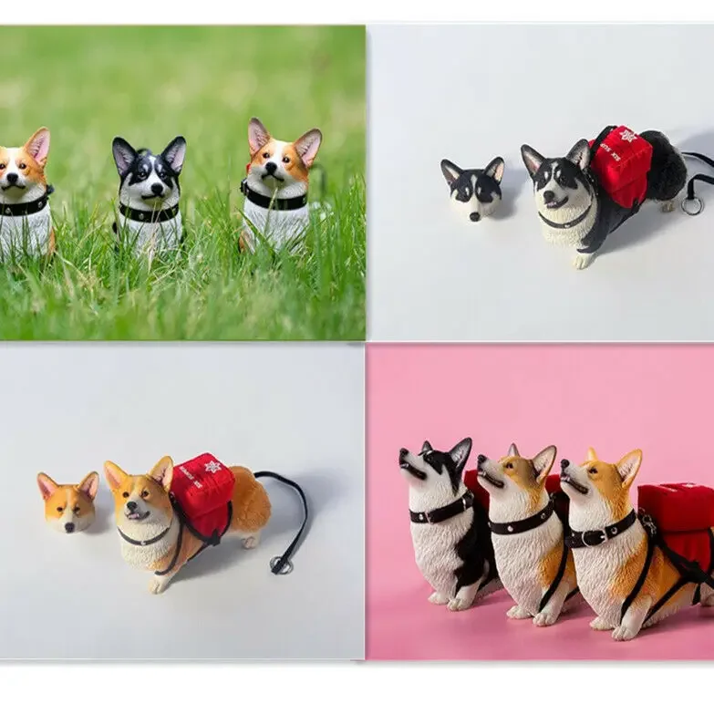 

JXK 1/6 Replaceable Head Welsh Corgi Pembroke Model Animal Cute Healing Resin Figure Collector 2022 New Decoration Gift Toy