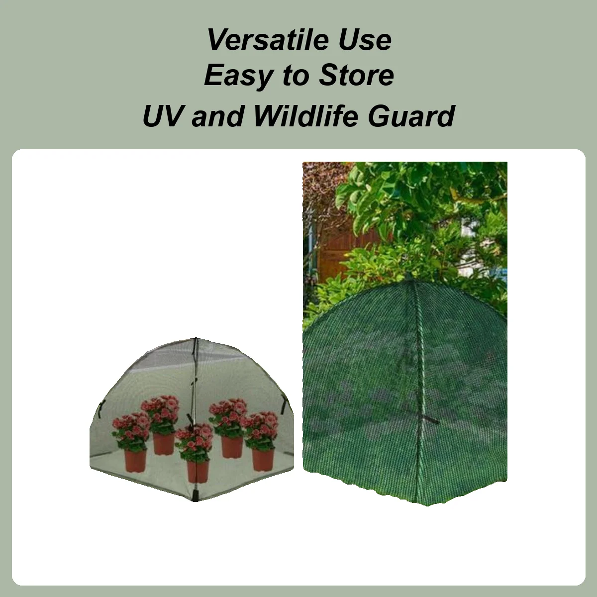 Plant Shade Popup F… - image