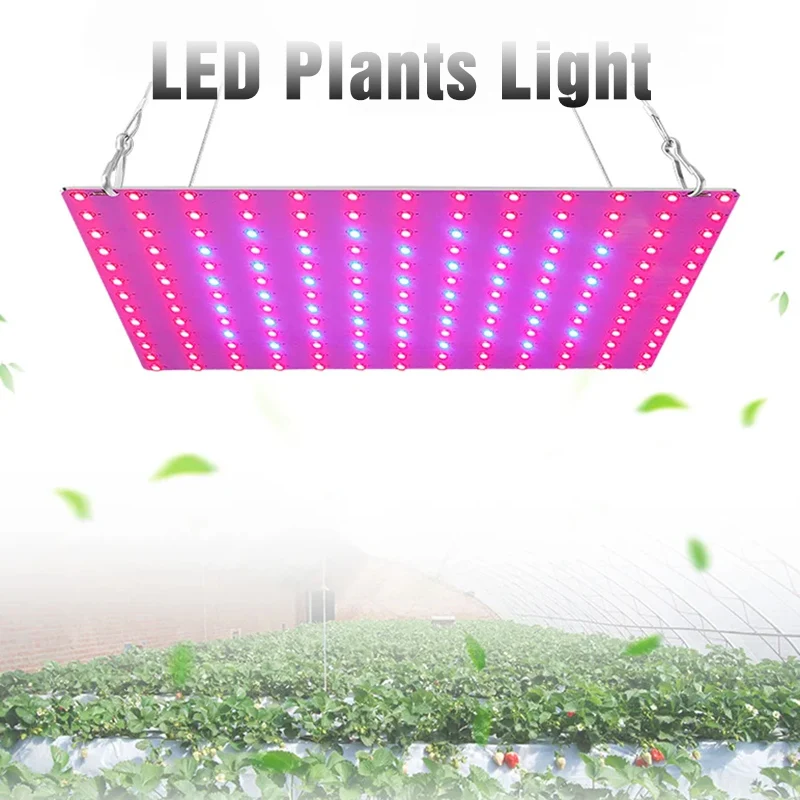 ضوء نمو نبات LED كامل الطيف ، نباتات الدفيئة المائية ، مصباح النمو ، زهرة الخضار الداخلية ، Phytolamp لوحة فائقة الرقة ، LEDs