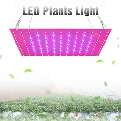 LED Plant Grow Light 169LEDs Full Spectrum Hydroponic Greenhouse Plants Growing Lamp Veg Flower Indoor Ultrathin Panel Phytolamp