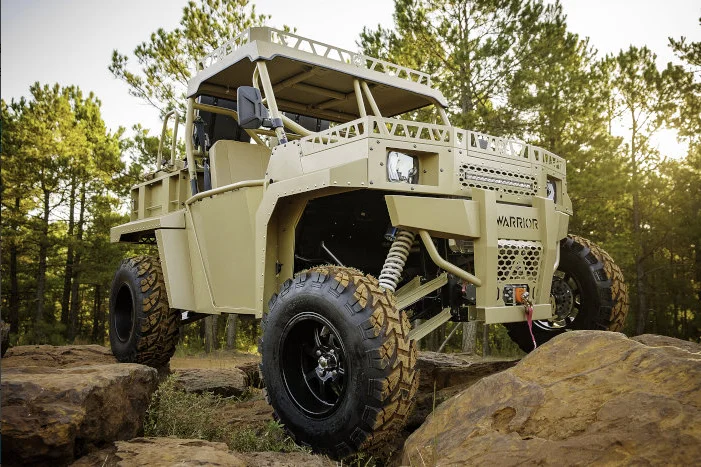 1000cc رباعية دراجة نارية الكهربائية بدء UTV الترابية دراجة رباعية فائدة التضاريس مركبة مع EPA