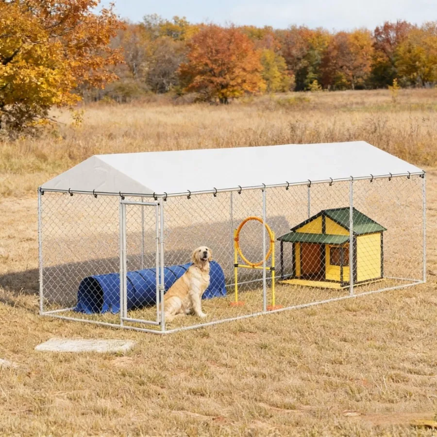 

Dog Kennel Outdoor, 2026 year