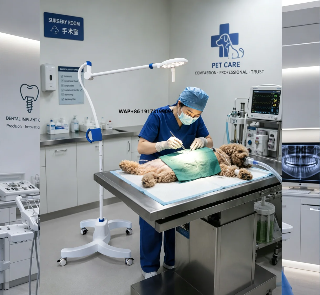 Portable type medical LED operating lamp 70000Lux, color temperature, electric, CRI 96, suitable for veterinary clinics