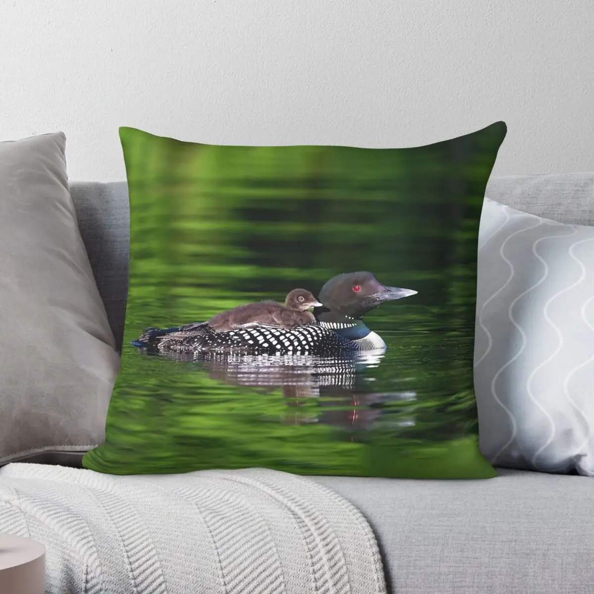 Common Loon Swimming Chick On Her Back Square Pillowcase Polyester Linen Velvet Pattern Zip Pillow Case Sofa Cushion Cover 18