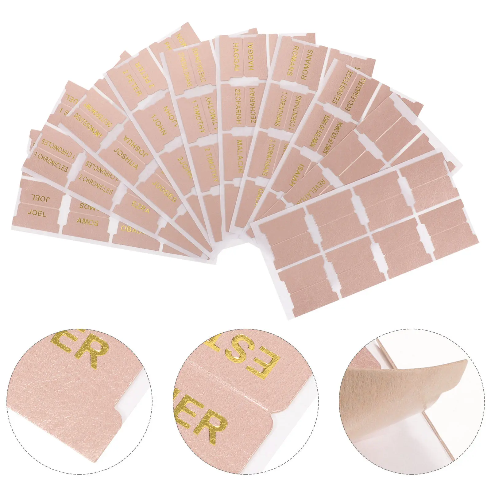 1 set Binder Notebook Plastic Index Tabs Dividers Halloween Christmas New Year Bible Book Tabs Bible Index Tabs Bible Study Tabs