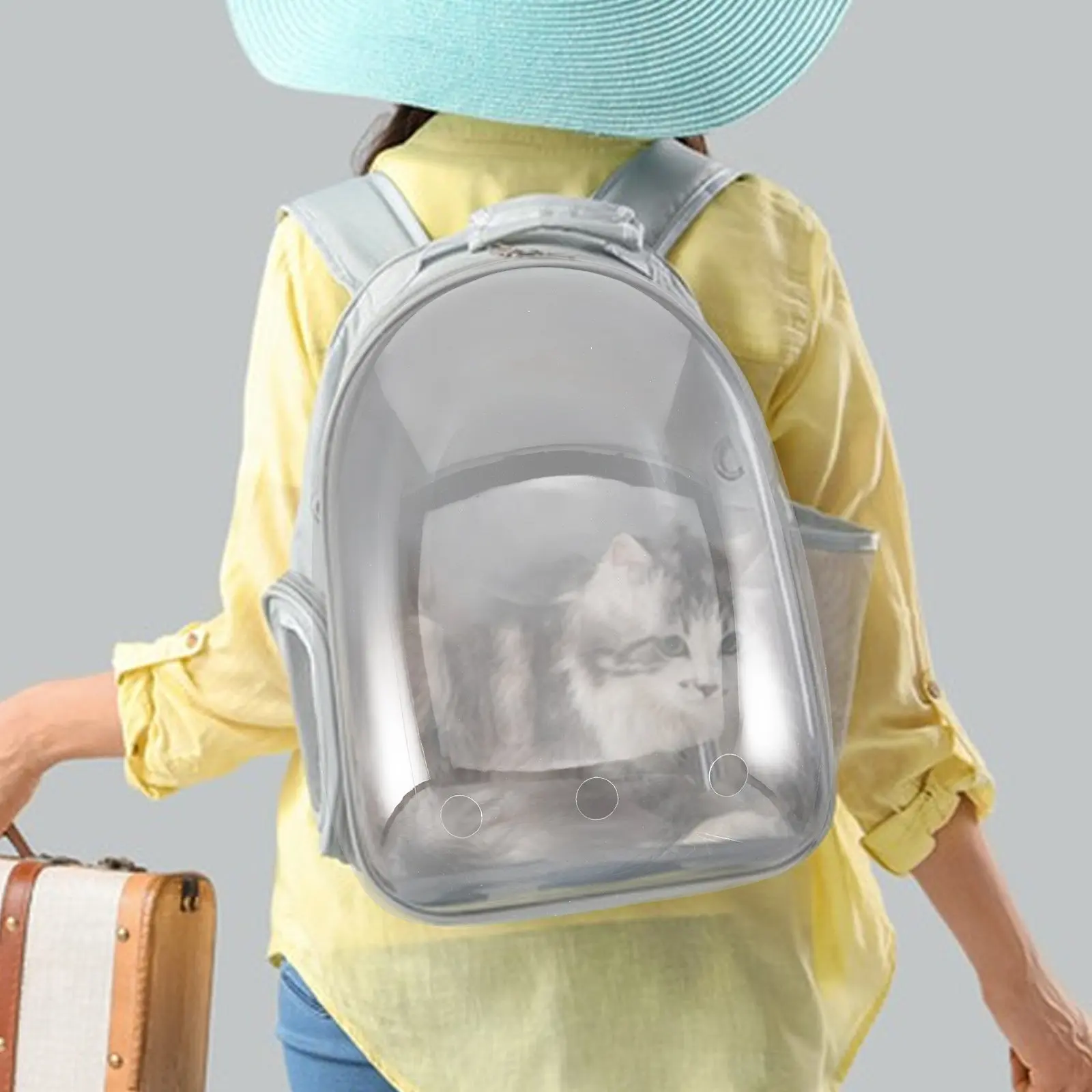 Space Capsule Pet Carrier Window Transparent Cover for Cat Dog Backpack Ventilated Airflow Outdoor Travel Transport