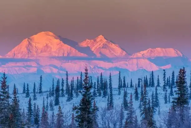 Alpen glow on Denali at sunrise Mt. McKinley (aka Denali) on a clear morning with alpen glow Funny Home Decor Tin Sign Retr sign