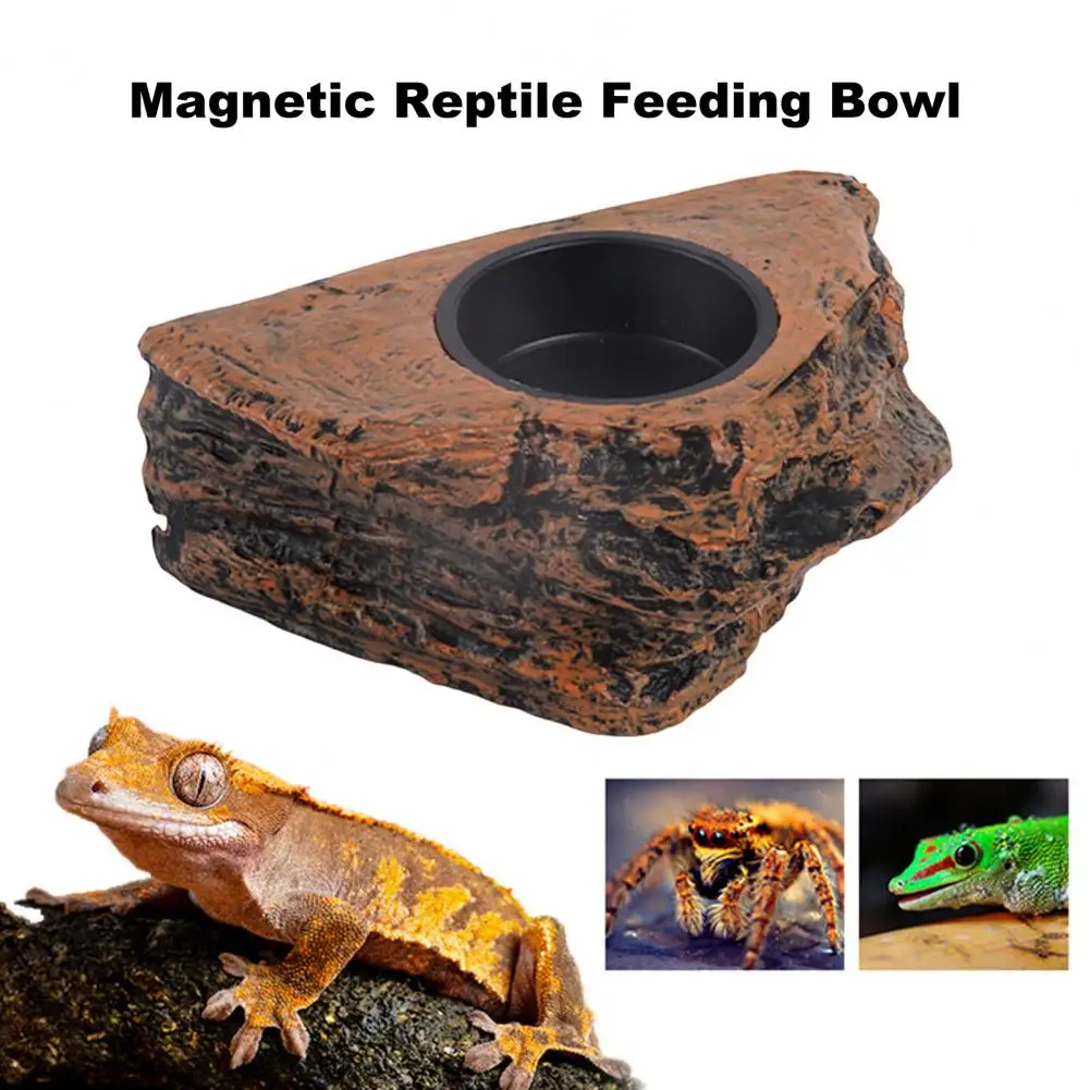 

Magnetic Reptile Feeding Ledge Hanging Animals Food Water Dish Levitation Feeding Bowl for Gecko Lizards Tree Frogs Chameleons