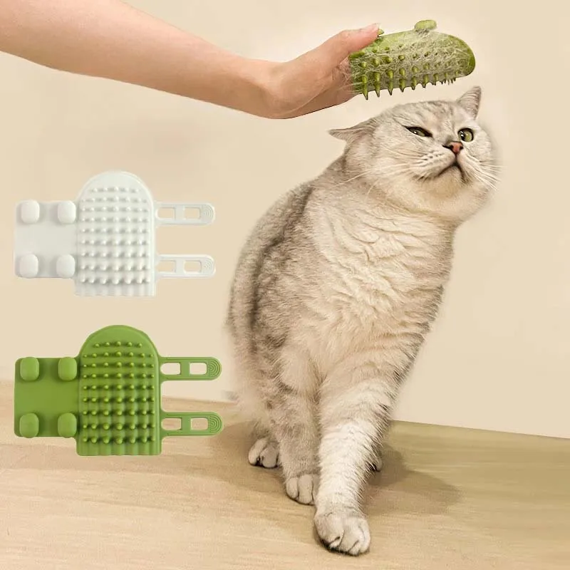 Cleaning Brush