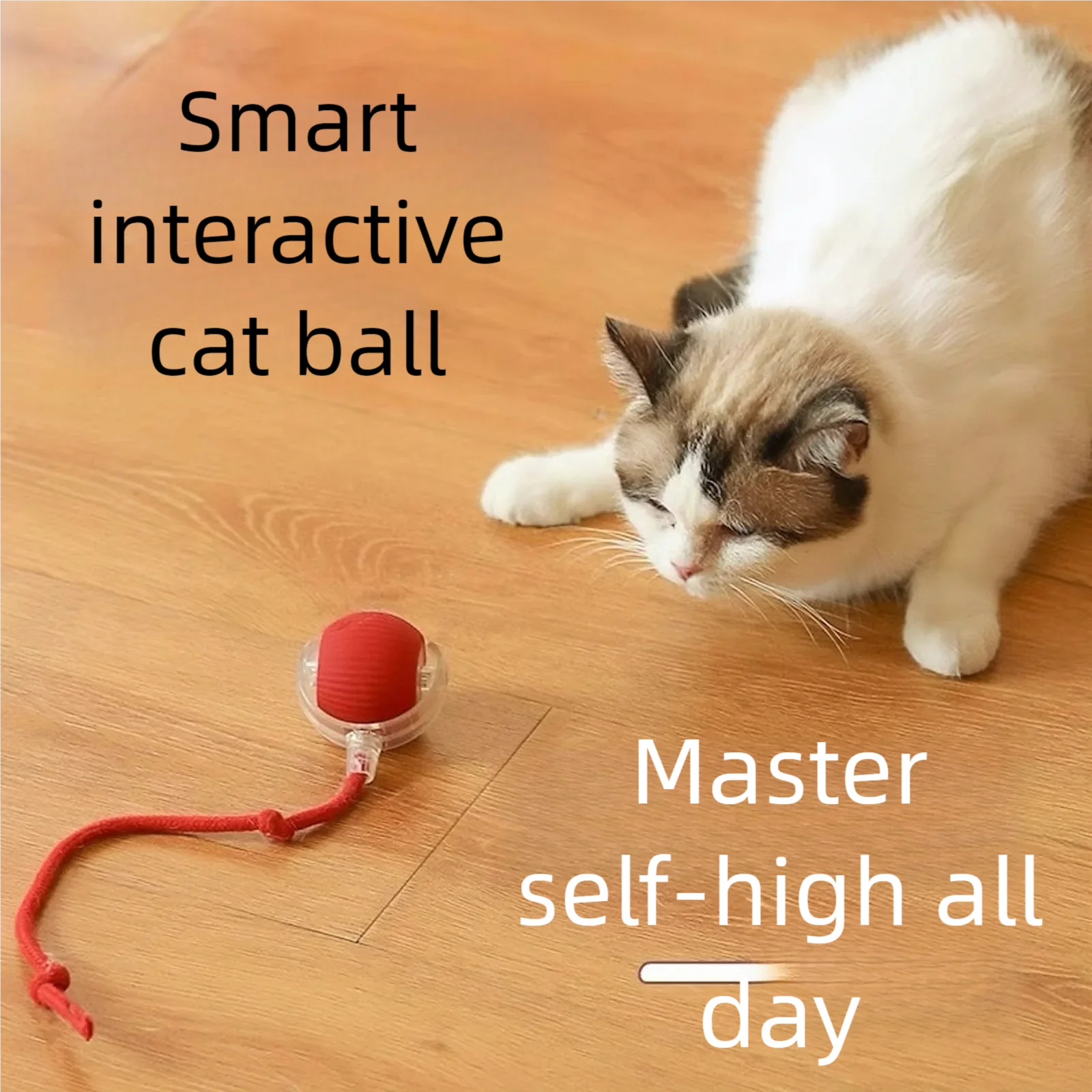 Automatic Rolling Pet Toy Ball - đánh giá và giá Automatic Moving Dog Ball