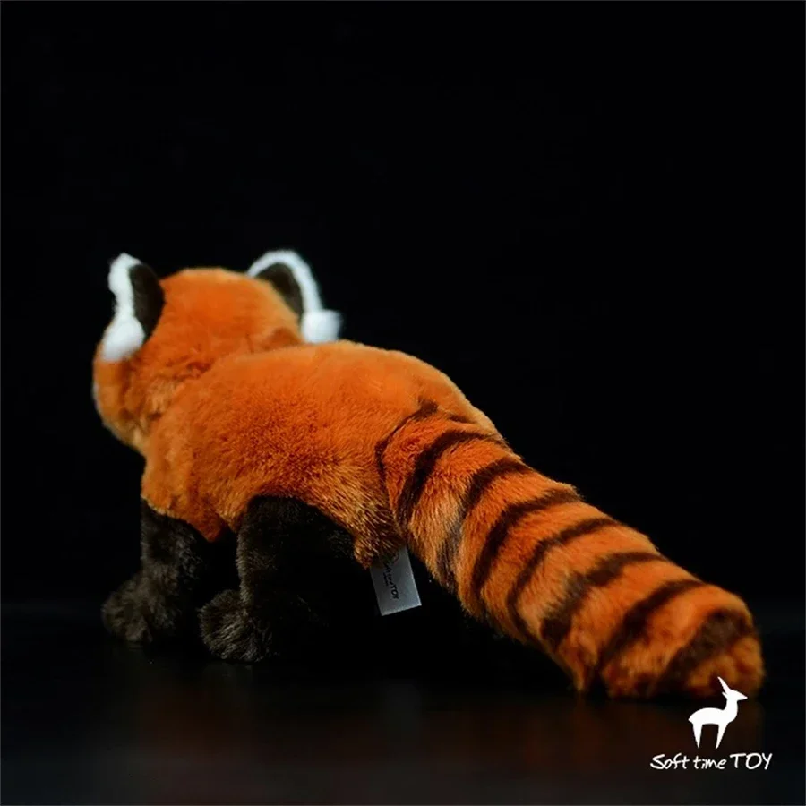 Red Panda Plush ของเล่นสมจริง Lesser Panda Plushie เหมือนจริง Himalayan Raccoon ตุ๊กตาสัตว์ Red Panda จําลองตุ๊กตาของขวัญ