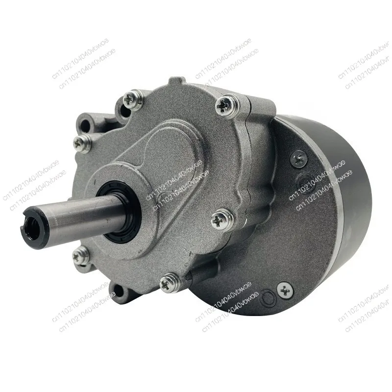 DC Brushed Low Speed Secondary Gear Electric Vehicle Motor 24V250W Wheelchair Motor