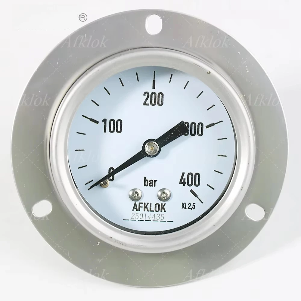 

Customizable 304 stainless steel pressure gauge 0-400 bar 63 mm dial 1/4 inch male NPT