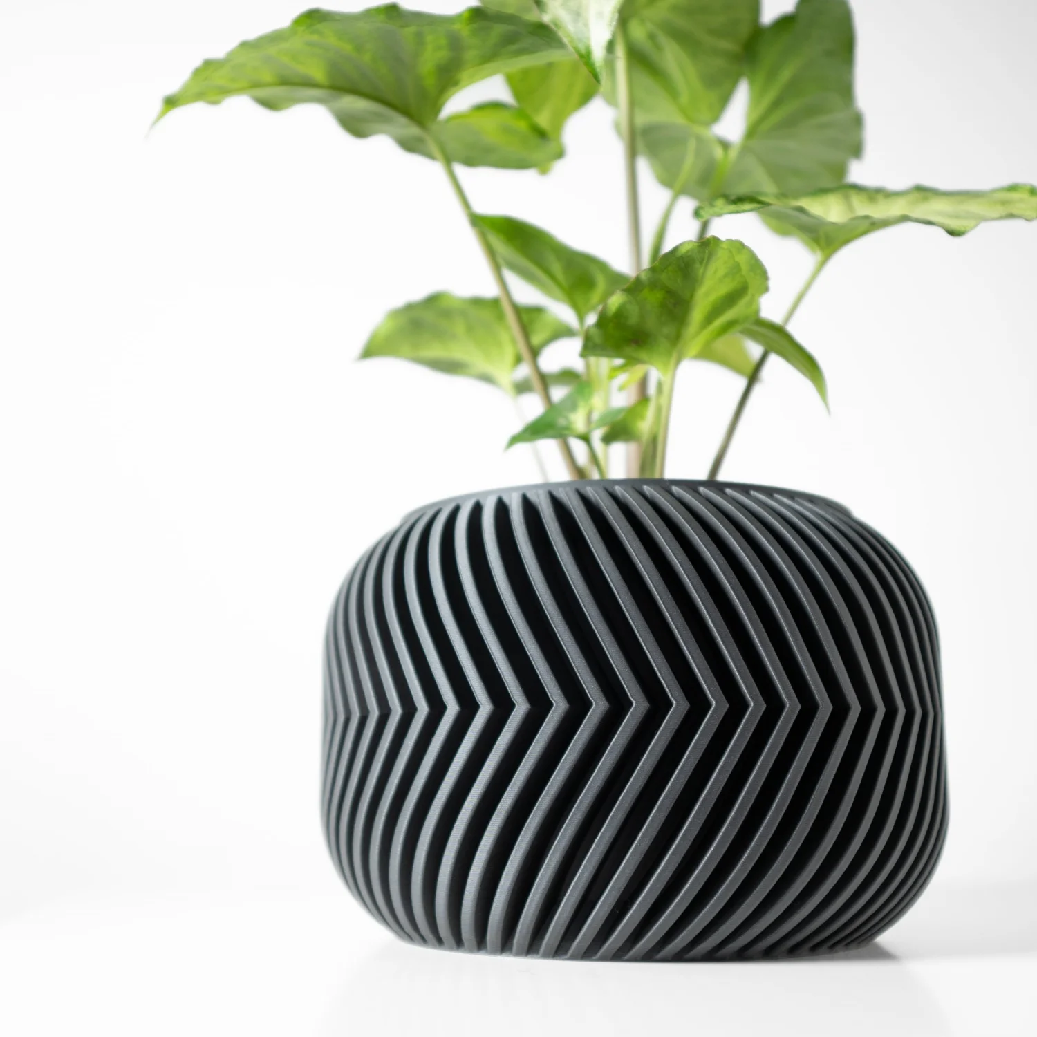 

Modern Minimalist 3D Printed Plant Pot – Biodegradable Flower Planter for Home Decor, Eco-Friendly Sustainable Gift (Ervon)