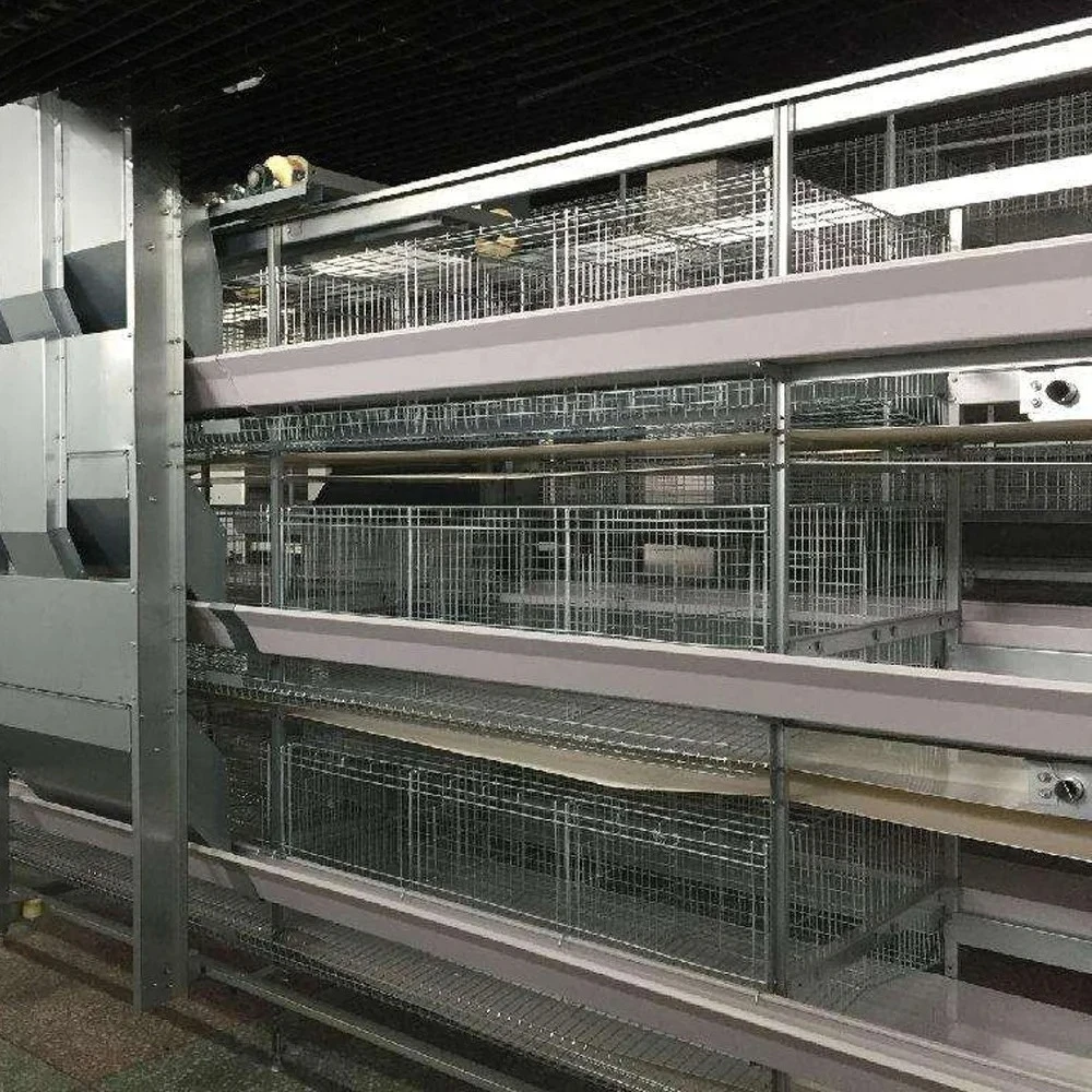 Typ Schicht-Hühnerkäfig zum Verkauf in Pakistan