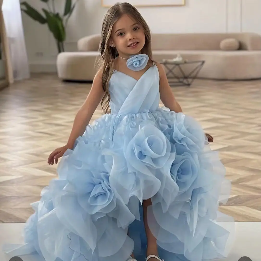 Sky Blue Flower Girl Dresses For Wedding Princess 3D Rose Tulle Skirt Litter Girl's Baby Birthday Party Prom Photo Shoot Gowns image 2