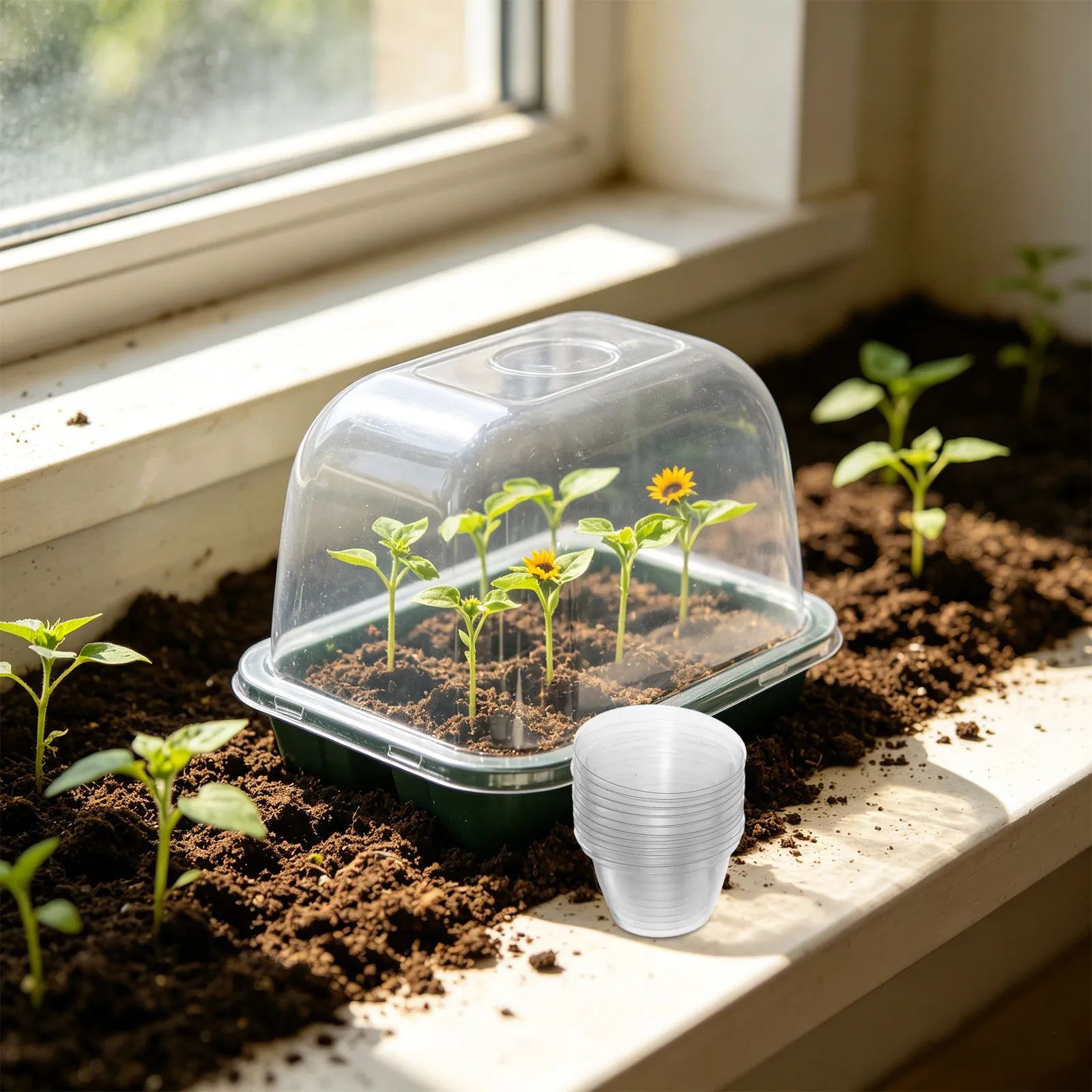 50Pcs Hydroponic Plant Starter Dome Caps Transparent Plastic Grow Domes 4Cm Seedling Pot Covers Indoor Gardening Humidity