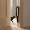Blk Cat Paw - Door