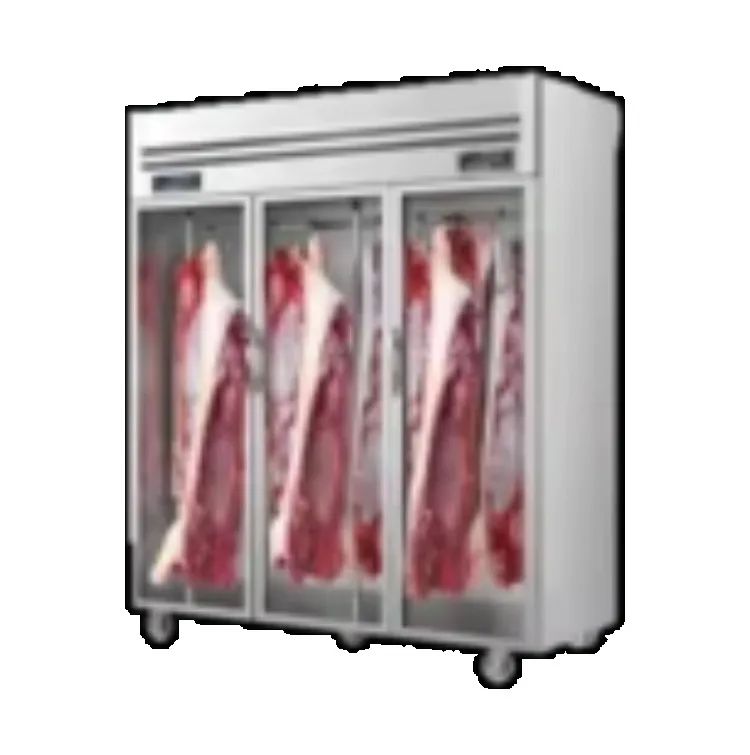 8- Professional Beef Steak Saussagesry Meat Ham Dry Age Fridge Cabinet Refrigeration Hanging Display Storage