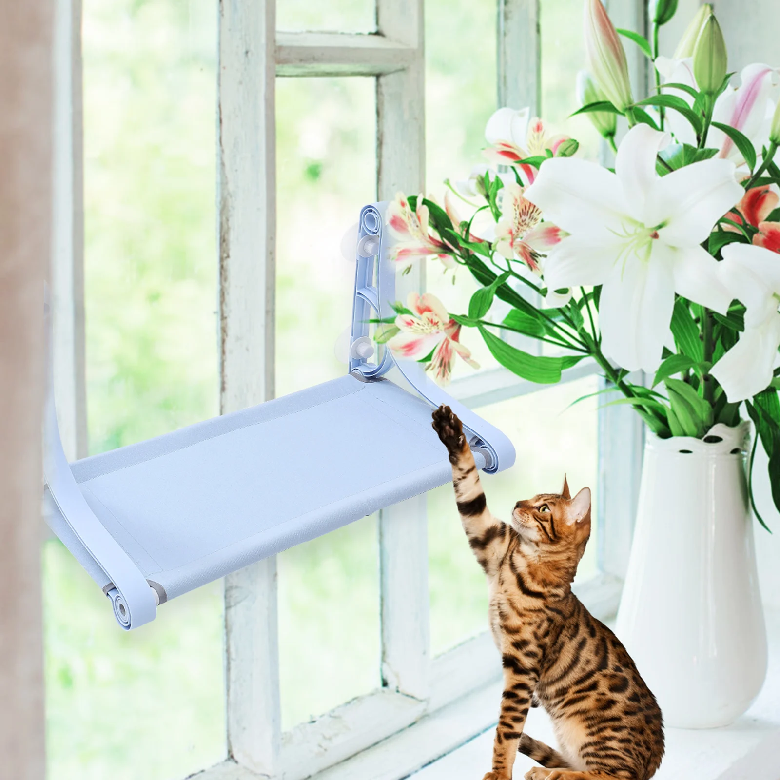 

Cordless Cat Window Hammock Bed Lounge Chair Pet Hammocks for Indoor Blue Pp Resin Perch