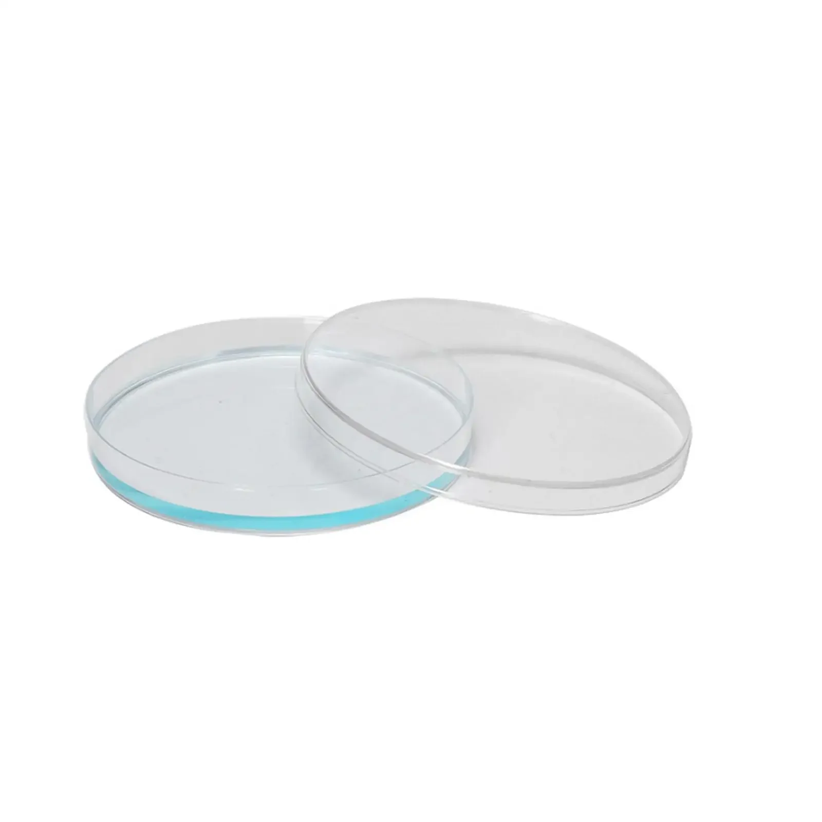 10pcs 35/60/70/90/100/120/150mm Polystyrene Petri Dish Sealed Culture Disposable