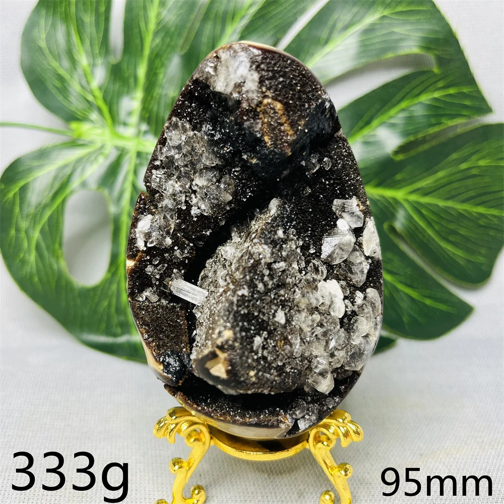 Natural Gemstone Septarium Turtle Stone Geode Original Mineral Specimen Home Room Decoration Witchcraft altar Prayer Spiritual