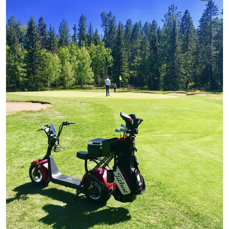 Australia Market High Chassis Manufacture With Storage Space At Back Cheap Price High Quality Wholesale Golf Carts For Sa