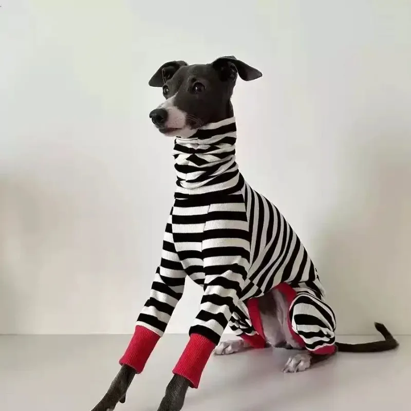 Big Dog Clothes Autumn and Winter Dog Pets Spring and Autumn Large Dogs Four Legged Base