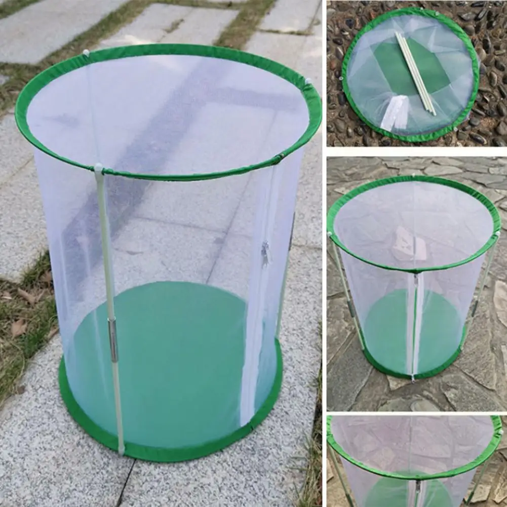 Observation Cage Butterfly Habitat Mini Greenhouse Cage Portable Cylinder Shape Butterfly Tent Sturdy for Indoor for Plants