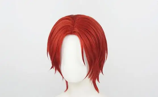 Parrucche Cosplay per capelli sintetici corti da fibra resistente al calore Anime + cappuccio per parrucca