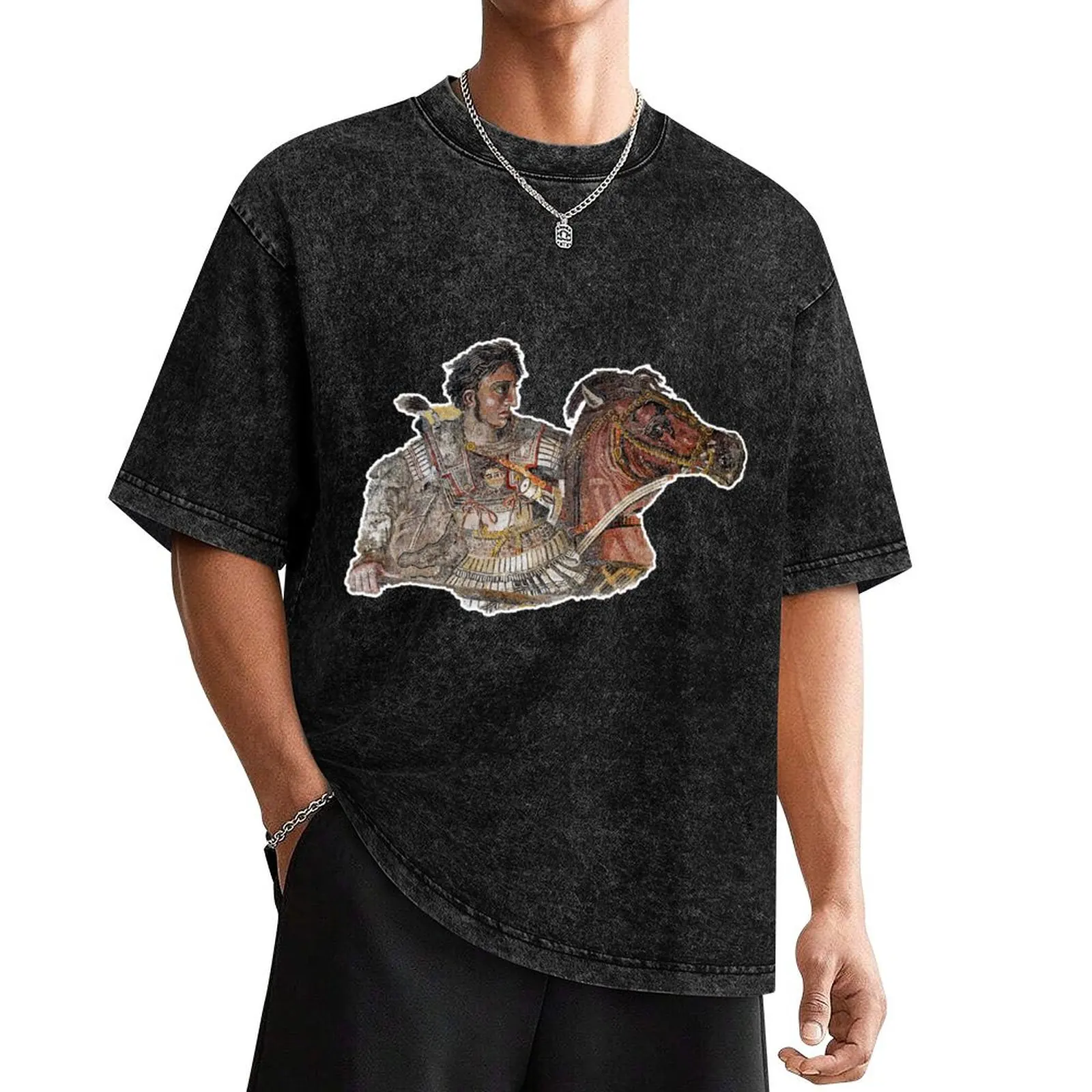 

Alexander the Great Mosaic T-Shirt anime shirt sweat tee shirts for men