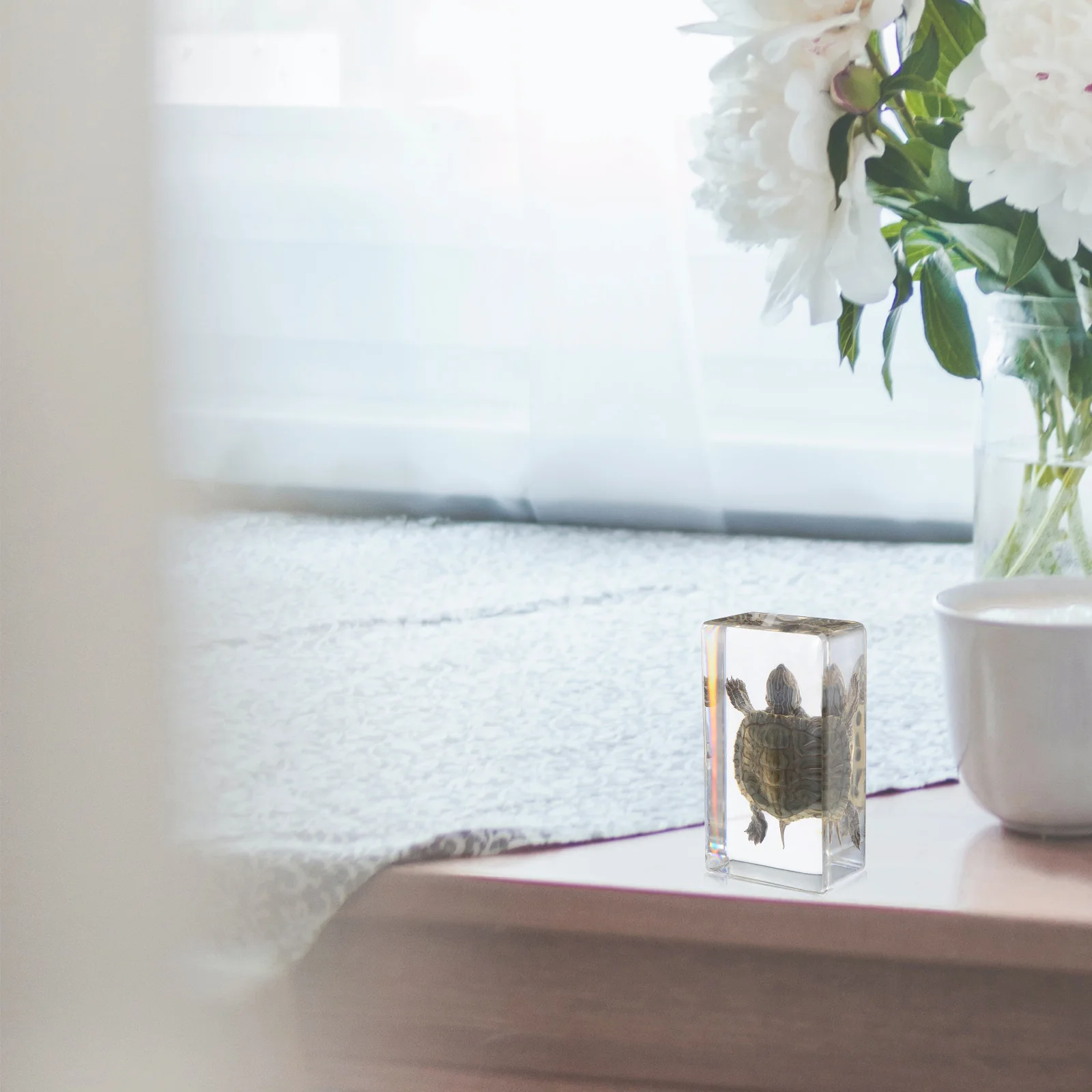 

Detailed Specimen Decorative Resin Statue for Home Garden Aquarium Scientific Educational Specimen