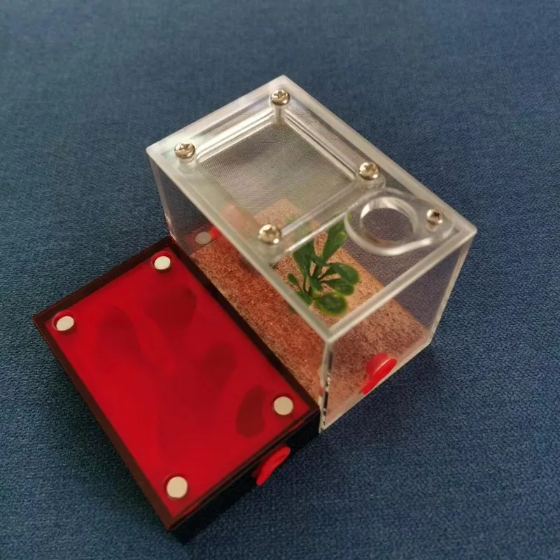 

Acrylic Ant Farm Pet Cages All Seasons