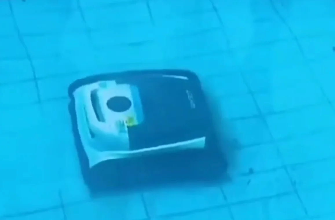 Swimming Pool Dolphin Vacuum Cleaner Robot  Automatic Suction Wall Climbing Robotic