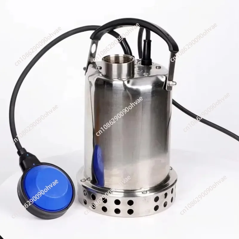 Stainless Steel Electric Garden Clean Water Submersible Pump