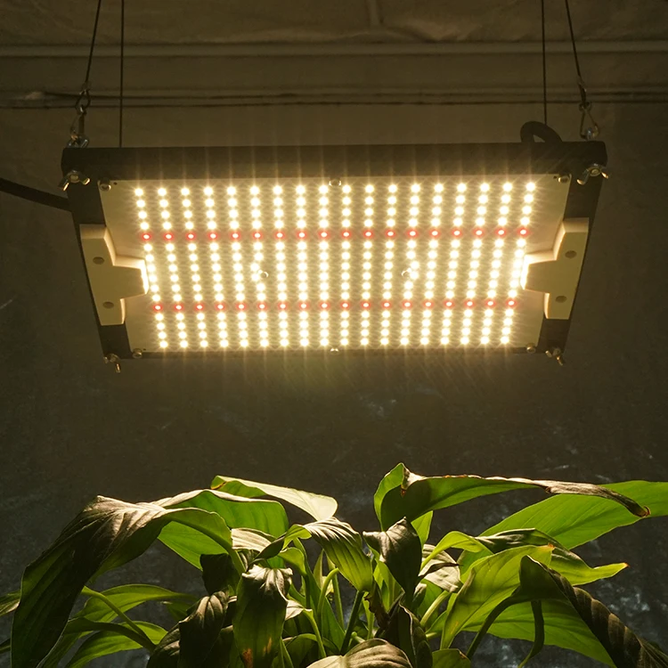 

2023 Waterproof KingBrite Led 120w Samsung lm301H with 660nm MW XLG Driver Led Grow Light