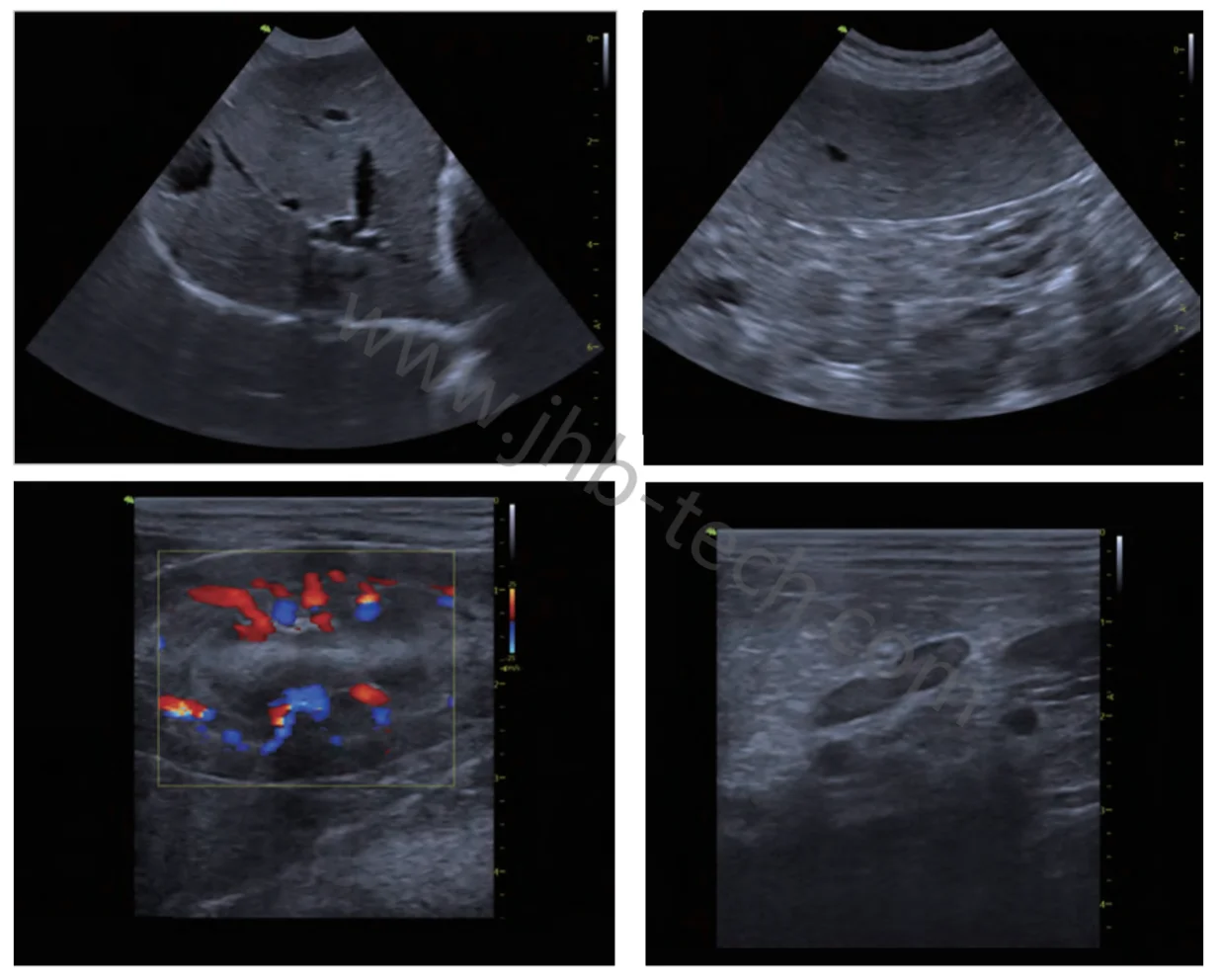VINNO D2-Vet Portable Color Doppler Ultrasonic System for Animals Other Ultrasonic Medical Veterinary Ultrasound Instruments