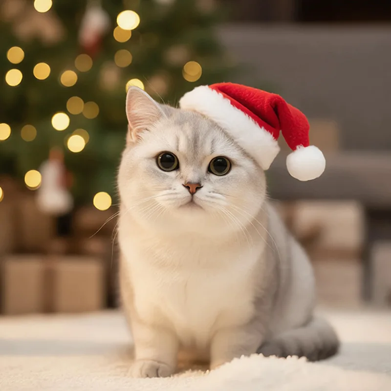 Kerstmis voor huisdieren, kerstmuts van kattenhaar, kaartmuts, decoratieartikel, kerstcadeau