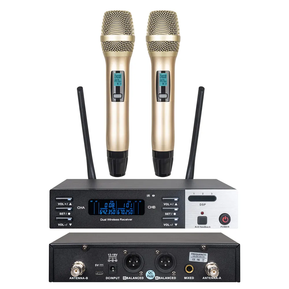 ShennDare 2-канальный профессиональный UHF беспроводной микрофон для дома KTV сценическое представление DSP беспроводной ручной микрофон 640 ~ 690 МГц