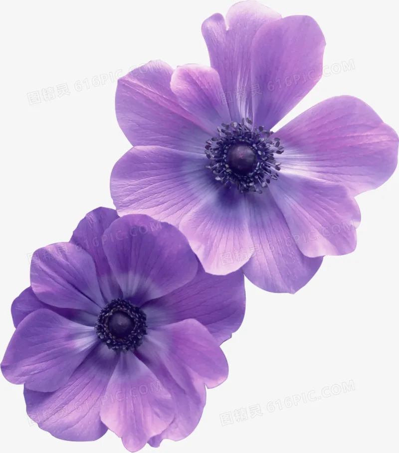 

0.7 Inch RC Crawler Wheel Rims Set (4PCS) for 1/30 Axial SCX30 Bronco Wrangler K10 Redcat Ascent-32 (Rims Only)