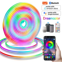 WiFi Bluetooth DC 12V RGBIC Neon Led Lights Strip Waterproof Dreamcolor Chasing Effect Flexible Ribbon RGB Lamp 1M 2M 4M 5M