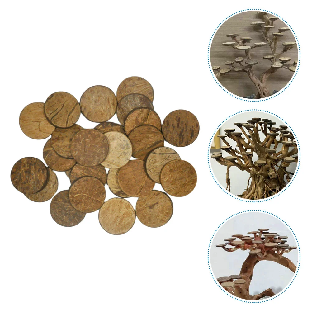 50 Pcs Aquarium Tank Raw Materials Coconuts Shell Disc Models Forest Scene Supplies Decorate