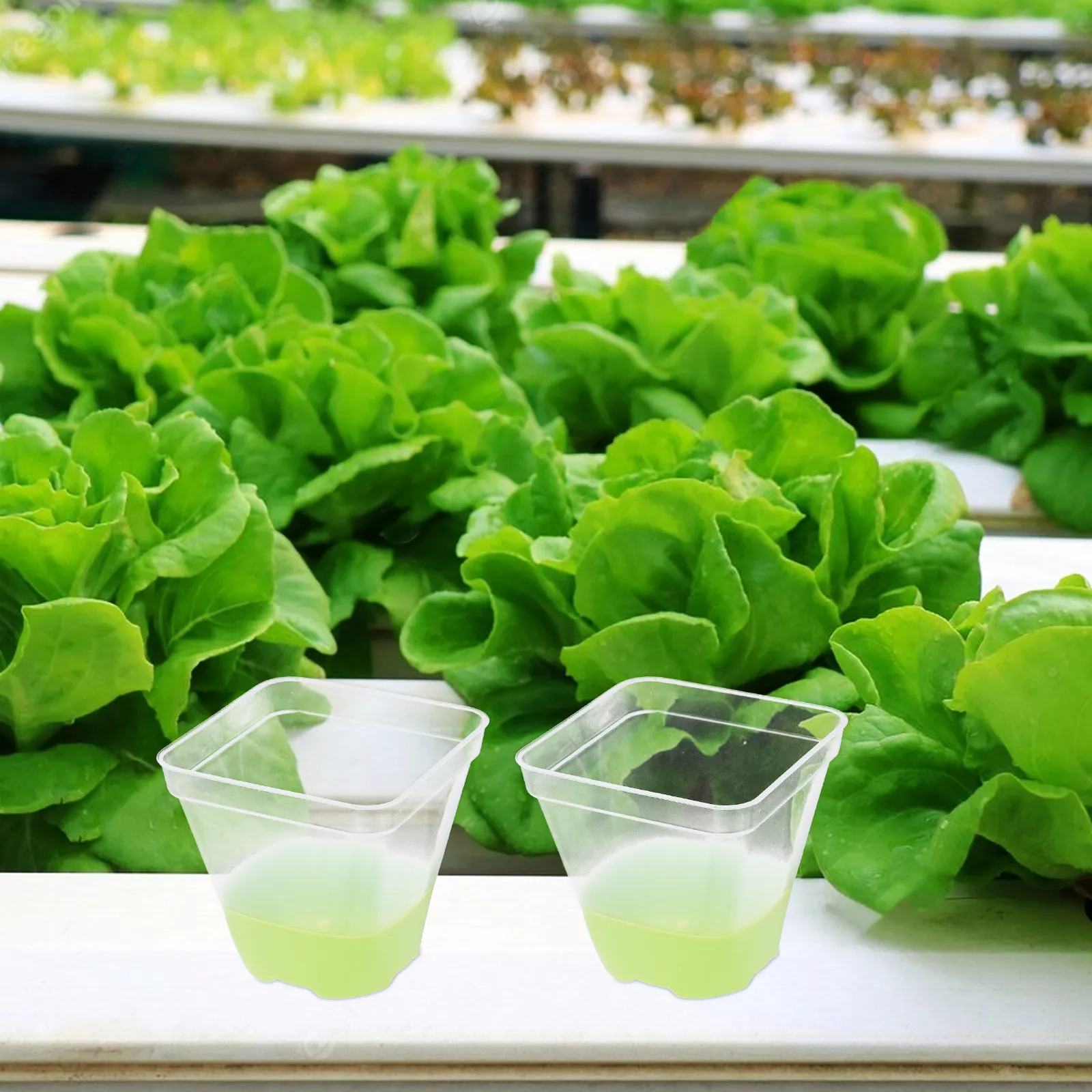 6Pcs Square Transparent Nursery Pot Breathable Design Reusable Seedling Container Silicone Nonslip Base Indoor Outdoor