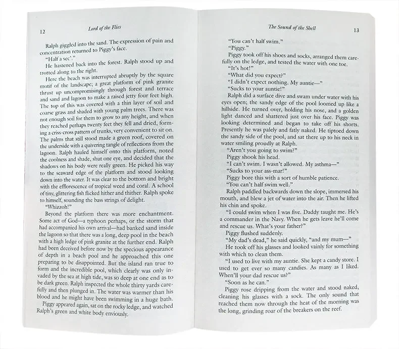 Lord of the Flies William Golding, Teen English in books story, novels 9780399501487