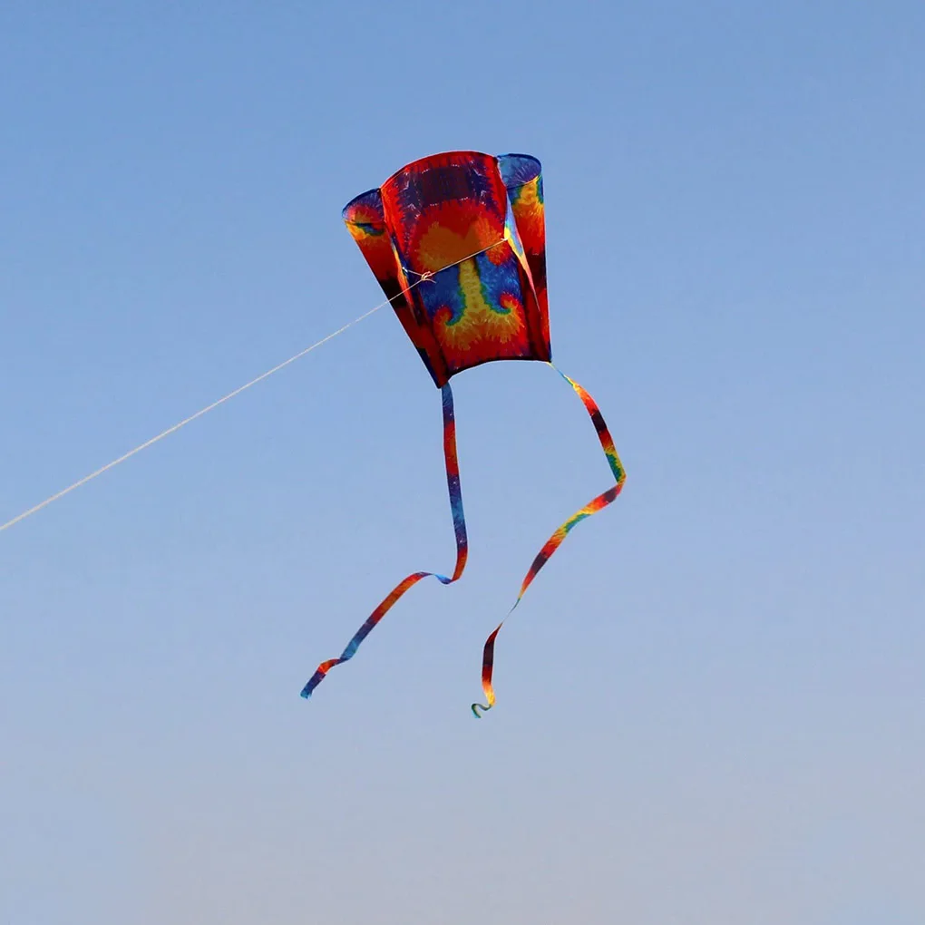 สายรุ้ง Parafoil Kite โพลีเอสเตอร์ Ripstop Flying Kite เด็กผู้ใหญ่บินของเล่นดอกไม้