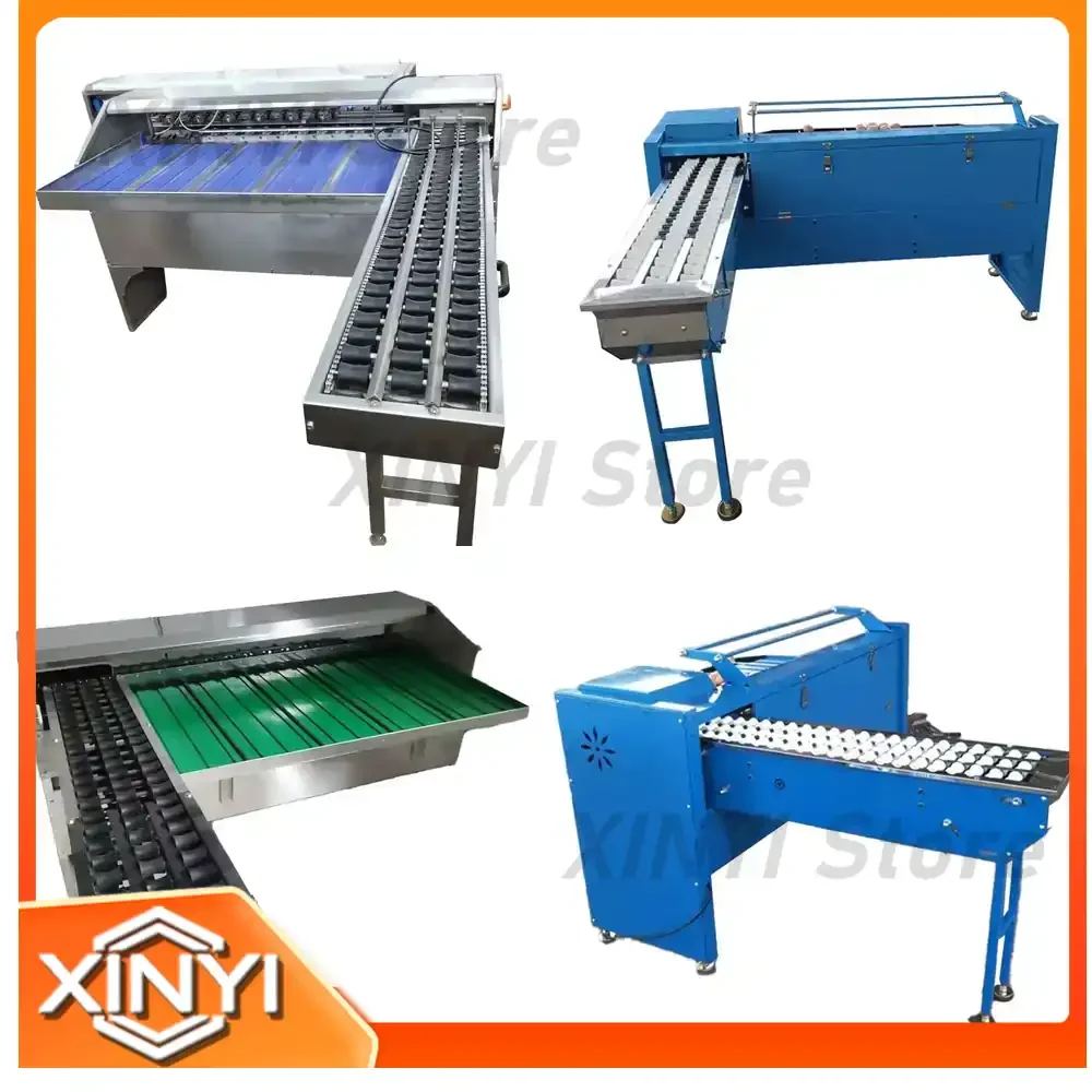 Egg Grading Machine for Sorter Eggs Grading Machine for Hatchery Automatic Egg Sorting Equipment Egg Size Classification